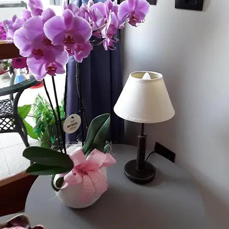 La Terrazza Sul Mare 3* 费拉约港